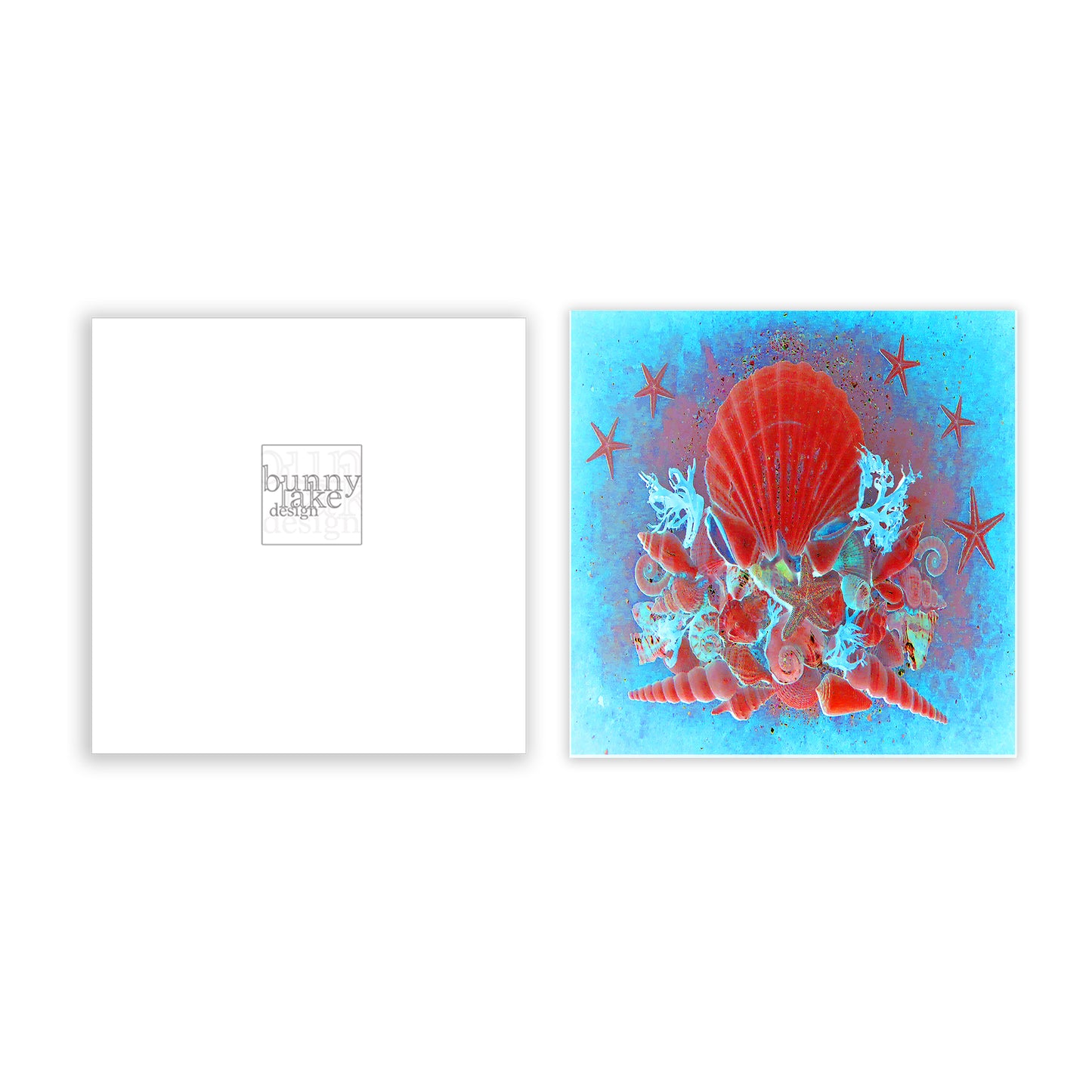 Stars & Shells Greeting Card Bundle