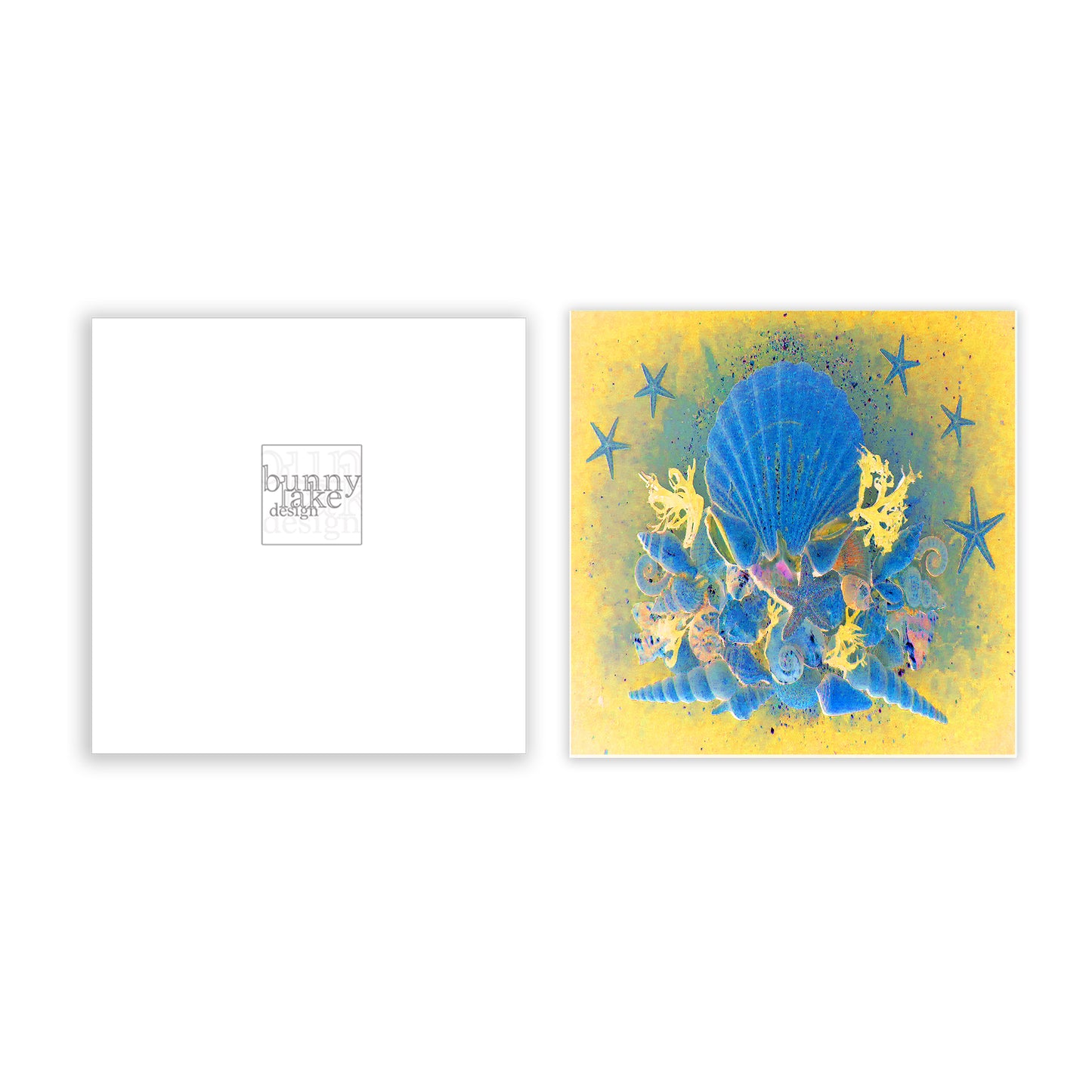 Stars & Shells Greeting Card Bundle